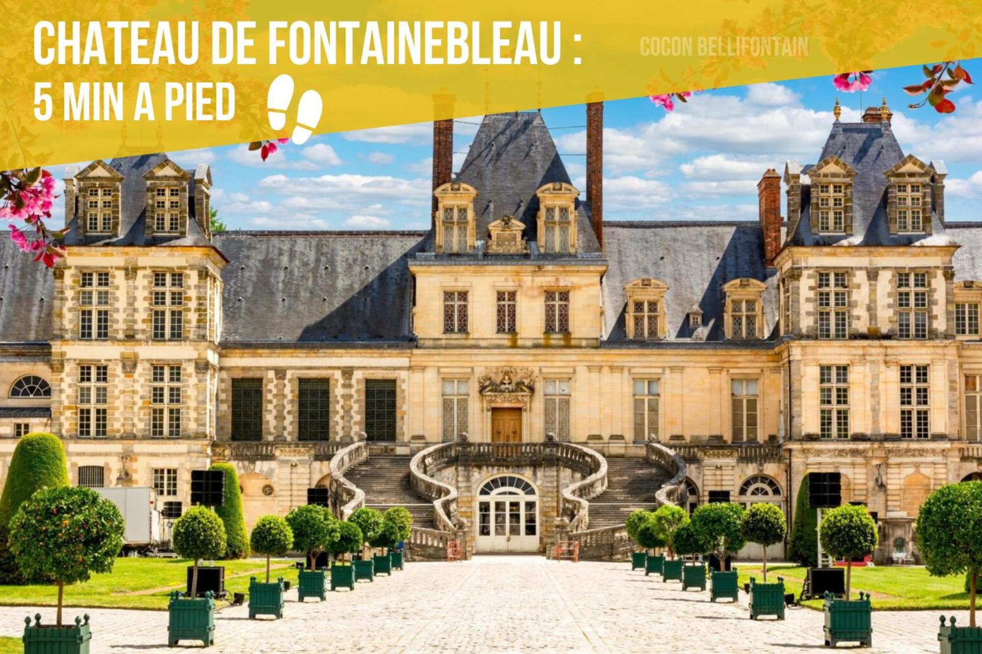 Le Cocon De Fontainebleau - Centre-Ville, Proche Insead & Chateau 外观 照片